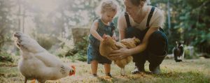 Learn More About Organics