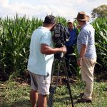 Gordo and Pete filming Steve coming out of the maize