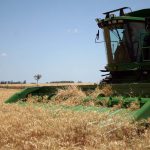 Graham begins the harvest