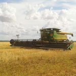 The harvester begins the harvest