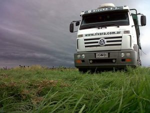 Trucks arrive for loading the grain