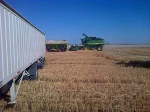 the hopper is filled by the harvester