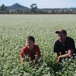 Damien in the buckwheat field with his son