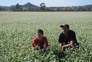 Damien in the buckwheat field with his son