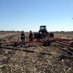 After the harvest Mike mulches the remaining stalks (the stubble) back in to improve soil fertility