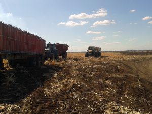 End of the harvest day. Time for everyone to go home.