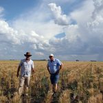 Pete和Geoff在小麦田里