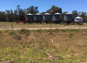 These silos are used to store the grain on the farm before transporting to Kialla