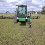 Casey ploughing weeds prior to planting