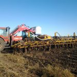 ソルガム（たかきび）の作付けを行うケイシーさん