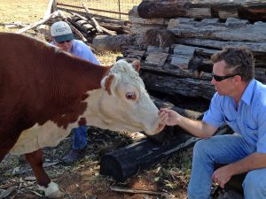 Rob, our grain buyer, makes friends with Pebbles