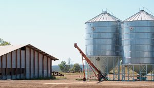 The grain silos are used to store the freshly harvested grain before it's trucked to Kialla.