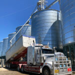 Once wheat is tested the truck takes it to offload into the silos