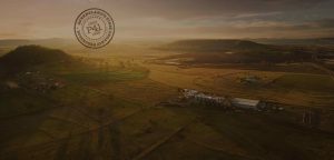 Kialla Pure Foods Home