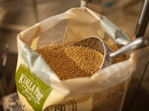 Kialla Wholefoods Organic Wheat Grain